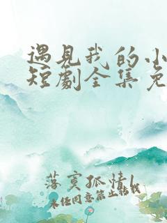 遇见我的小欢喜短剧全集免费观看