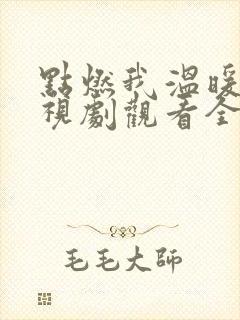 点燃我温暖你电视剧观看全集免费