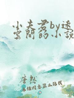 小夫君by远上云间的小说免费阅读