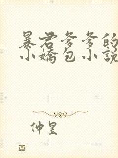 暴君爹爹的团宠小娇包小说全文