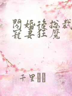 闪婚后总裁成了宠妻狂魔