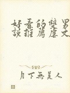 好看的双男主小说推荐虐文