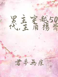 男主穿越50年代,主角杨齐的正版小说