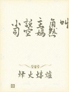 小说主角叫叶凡司空嫣然