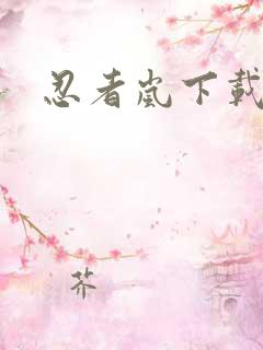 忍者岚下载正版