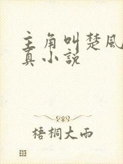 主角叫楚风的修真小说