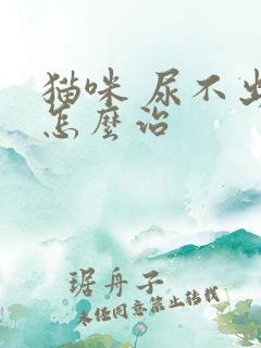 猫咪 尿不出尿怎么治