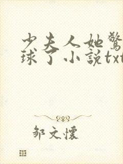 少夫人她惊艳全球了小说txt