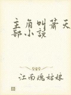 主角叫萧天的全部小说