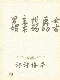 男主权臣女主娇媚柔弱的古言