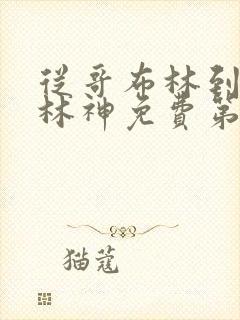 从哥布林到哥布林神免费第一集