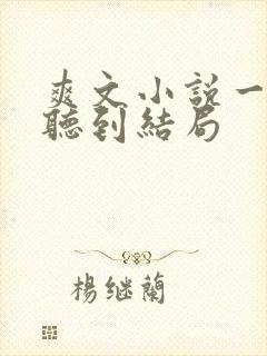 爽文小说一口气听到结局