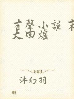 有声小说 末世大回炉