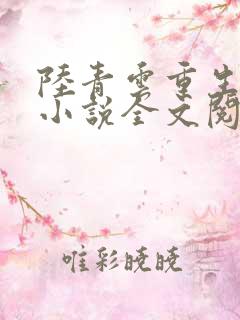 陆青云重生官场小说全文阅读