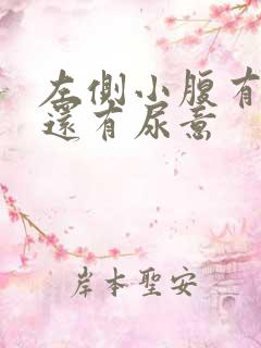 左侧小腹有点胀还有尿意