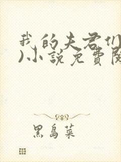 我的夫君们(双)小说免费阅读