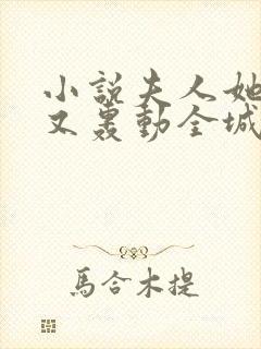 小说夫人她马甲又轰动全城了完本