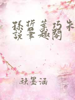 孙哲叶巧朱颜小说笔趣阁