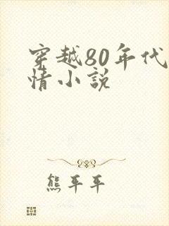 穿越80年代言情小说