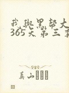 我与黑帮大佬的365天第三季