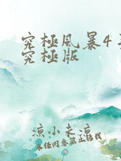 究极风暴4手机究极版