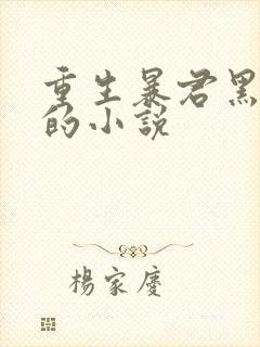 重生暴君黑化前的小说