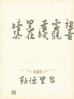 暗黑者电视剧全集在线观看免费