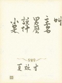 小说男主叫顾远是什么名