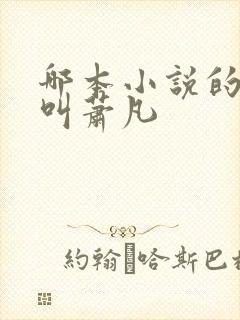 哪本小说的主角叫萧凡