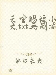 天官赐福小说全文txt无删减下载