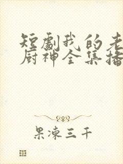 短剧我的老婆是厨神全集播放