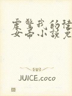 震惊我的徒弟是女帝小说免费在线阅读