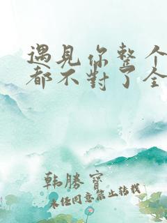 遇见你整个世界都不对了全文免费阅读