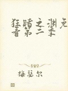 狂赌之渊免费观看第二季