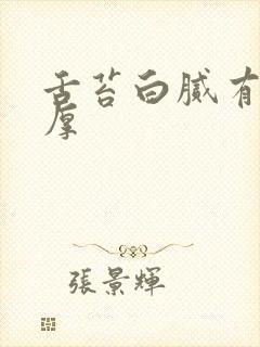 舌苔白腻有齿痕厚