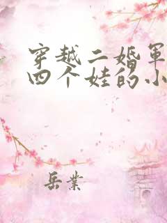 穿越二婚军婚养四个娃的小说