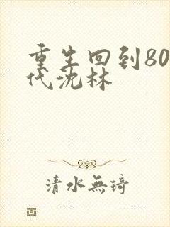 重生回到80年代沈林
