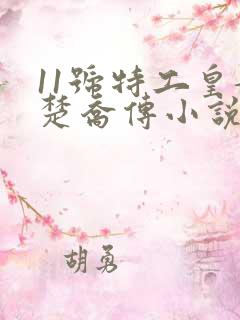 11号特工皇妃楚乔传小说