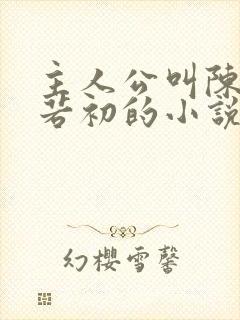 主人公叫陈凡苏若初的小说