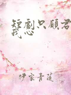 短剧只愿君心向我心