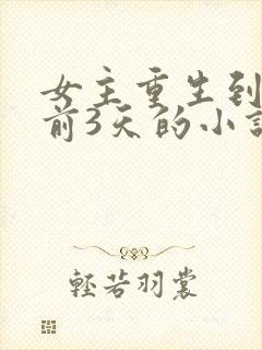 女主重生到末世前3天的小说