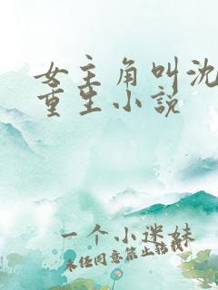 女主角叫沈离的重生小说