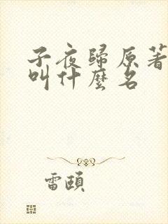 子夜归原著小说叫什么名