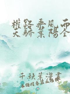 权路乘风而起化天骄叶阳全文在线阅读