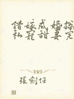 错嫁成婚总裁的私宠甜妻完结版