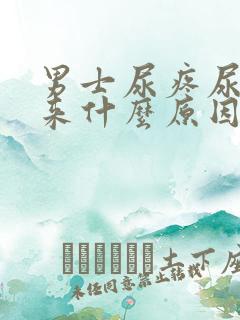 男士尿疼尿不出来什么原因