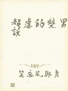 超虐的双男主小说