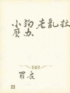 小狗老乱拉尿怎么办