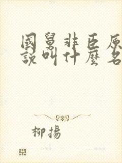 国舅非臣原著小说叫什么名字来着