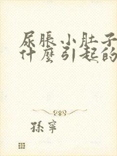 尿胀小肚子疼是什么引起的